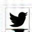 X (formerly Twitter) Logo